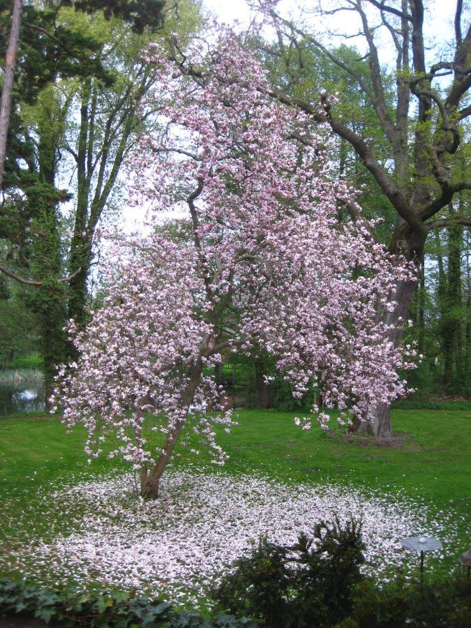 Neuhausen  Gartenzimmer Im Schloss Neuhausen מראה חיצוני תמונה