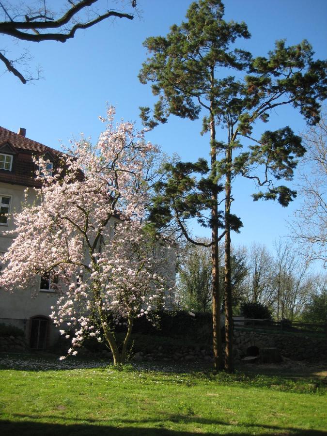 Neuhausen  Gartenzimmer Im Schloss Neuhausen מראה חיצוני תמונה